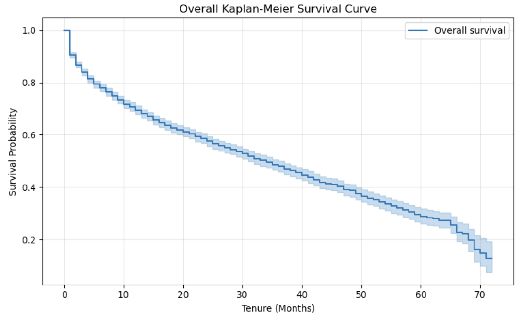 Overall Kaplan-Meier survival curve